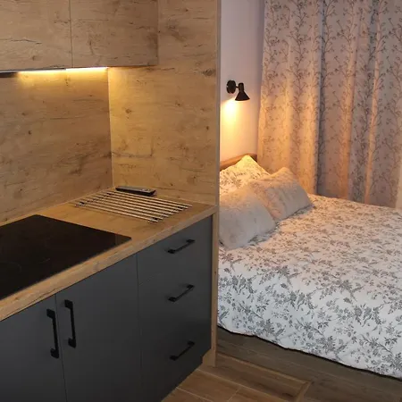 Chopina Apartment