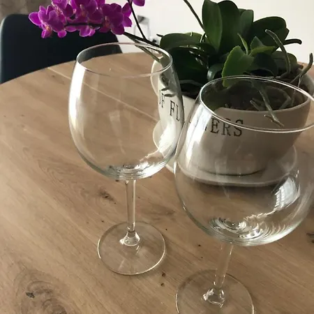 Chopina Apartment