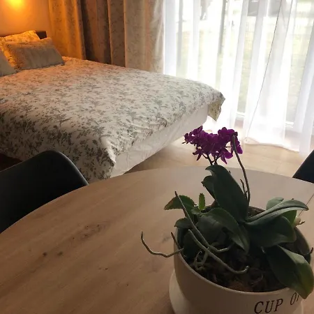 Apartment Chopina *