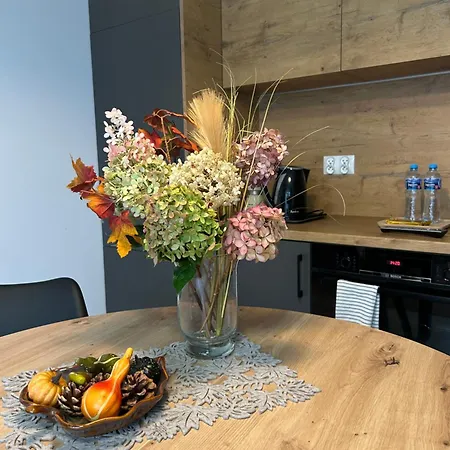 Chopina Appartamento Łomianki